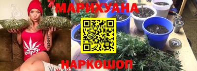 PSILOCYBIN Донской