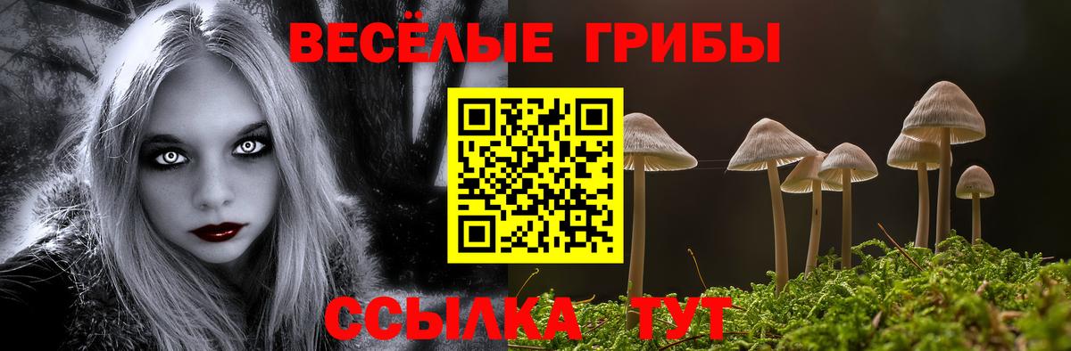 Галлюциногенные грибы MAGIC MUSHROOMS  Вход с VPN  купить наркоту  Псилоцибиновые грибы Magic Shrooms  Миасс 